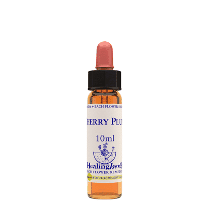 Cherry Plum 10ml