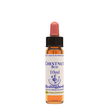 Chestnut Bud 10ml
