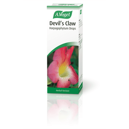Devil's Claw Harpagophytum Drops 100ml