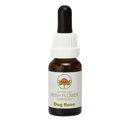 Dog Rose (Stock Bottle) 15ml