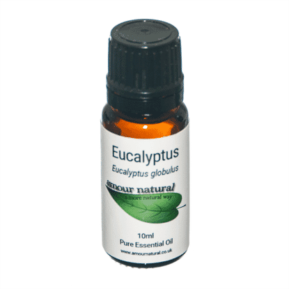 Eucalyptus Pure Essential Oil 10ml