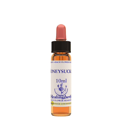 Honeysuckle 10ml