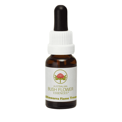 Illawarra Flame Tree (Stock Bottle) 15ml