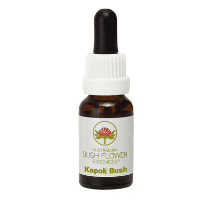 Kapok Bush (Stock Bottle) 15ml