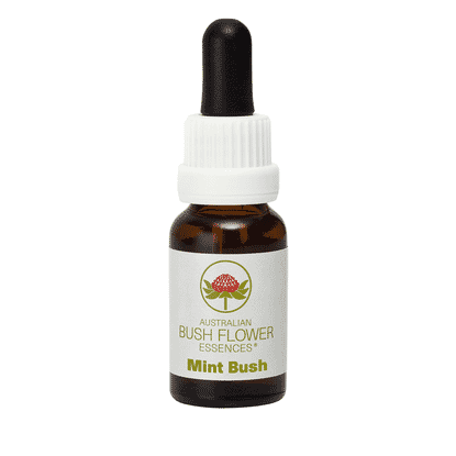 Mint Bush (Stock Bottle) 15ml
