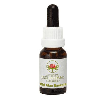 Old Man Banksia (Stock Bottle) 15ml