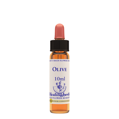 Olive 10ml