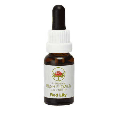 Red Lily (Stock Bottle) 15ml