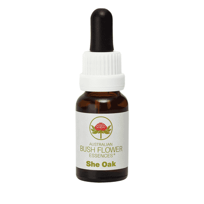 She Oak (Stock Bottle) 15ml