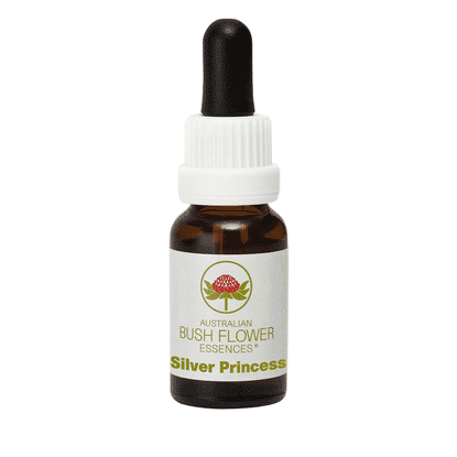 Silver Princess (Stock Bottle) 15ml