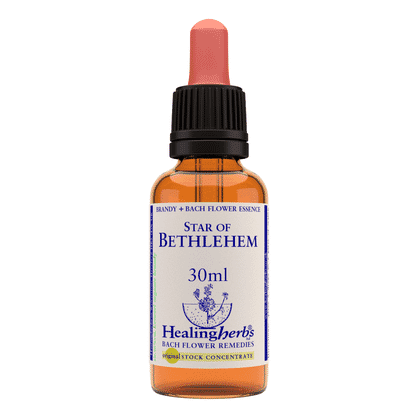 Star of Bethlehem 30ml