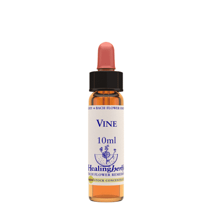 Vine 10ml