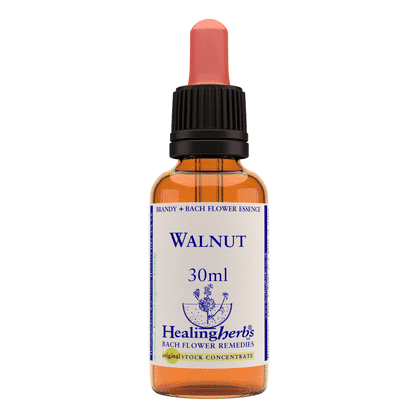 Walnut 30ml