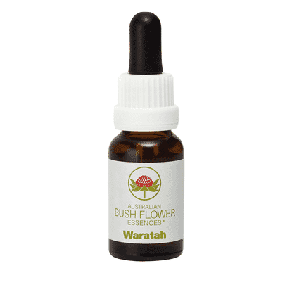 Waratah (Stock Bottle) 15ml