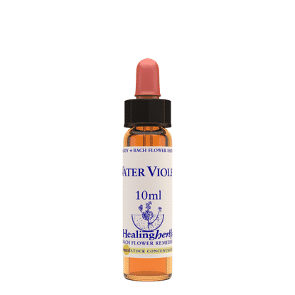 Water Violet 10ml