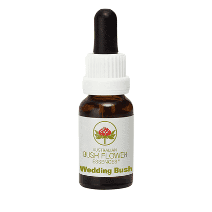 Wedding Bush (Stock Bottle) 15ml