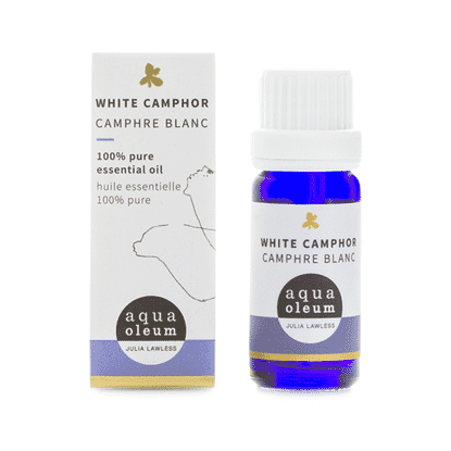 White Camphor 10ml
