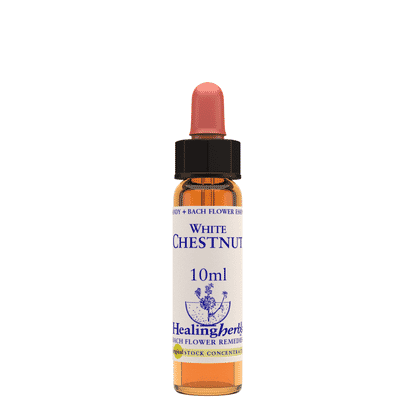 White Chestnut 10ml