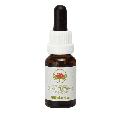 Wisteria (Stock Bottle) 15ml
