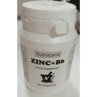 Zinc + B6 90s